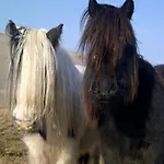 Holiday home Sandbed Cottage, Fell End A Characterful With Walks From The Door Over The Howgills Kirkby Stephen
