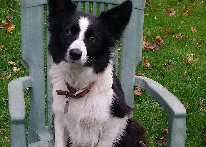 Sandbed Cottage, Fell End A Characterful With Walks From The Door Over The Howgills 度假居 柯比斯蒂芬